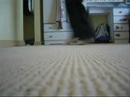 viet cripping