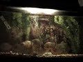 Piranha attack feeder mouse