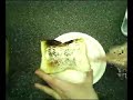 Extreme Toast Spreading