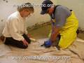 videos de Saving a Seal's life:  Step 1
