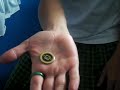 An awsome coin trick An awsome coin trick
