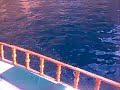 Turkije - Alanya Piranja\ Turkije - Alanya Piranja\