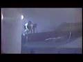 Creatures of Habit 2 - Fall Line Films - 1992 - 2 of 3