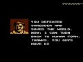 ending for teenage mutant ninja turtles for nes