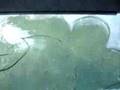 Northern Pike Spearing # 1