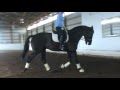Contact Saddles / Helm Saddles