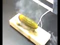 Electricuted Pickle In Sciance Class