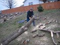 Bucking Logs and the Magic Levitating Tree Trunk