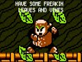 Mega Man 2 - The Adventures Of Duane And BrandO - INSTRUMENTAL