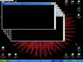 What happens when u open virus.bat?