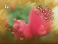 Mawled imam il mahdi a.sShia blood and soul 4 life