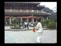 螳螂拳 洪敦品 武术 kongfu