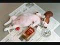 pelo de perro inéditos chascarros y caraoke