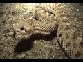 Sidewinder
