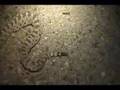Sidewinder