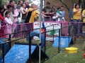 Pig race at RedCliff 3