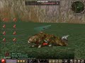 Speed Hack Metin2 BR Speed Hack Metin2 BR