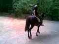 At At