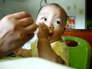 baby eat egg yolk