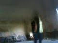 Kiwi`s huge Ollie