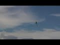 5 Year Old Justin Chi - Trex600 Heli Demo - Aug 18, 2007 5 Year Old Justin Chi - Trex600 Heli Demo - Aug 18, 2007