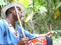 Mugongo, forest\ Mugongo, forest\