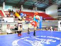 Carina Mata Maia  vs  Sandra Rainho � 2� Assalto