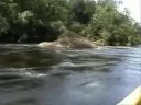 CANAIMA clip