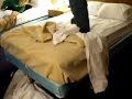 Trying to break the bed Trying to break the bed