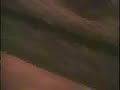 Thumbnail #3