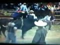 Cortijo nuevo