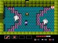 TheMegaManNetwork 09's StarTropics 2 Guide, Part 3
