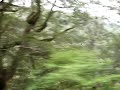 MOV00230.MPG