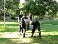 Bujinkan Getsumon Dôjô - 武神館 月門道場