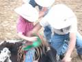 Lil BADASS BULL RIDER