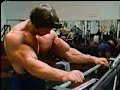 Arnold (Biceps)