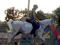 Sophia And Her Horse Haleb.