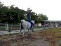 Sophia And Her Horse Haleb.