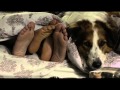 Mato Sem Cachorro - Trailer Oficial HD