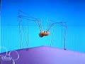 Spider Adventure