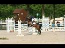 jivaro-iii-etalon-poney-connemara-1m35-en-grand-prix-cheval.html