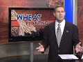 Louisiana Farm Bureau: Wheat Planting