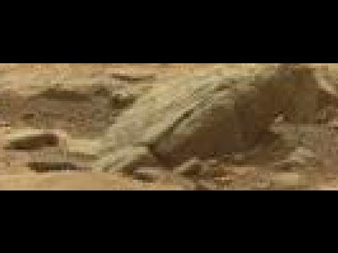 Latest - Latest NASA picture shows what appears to be a very large amphibian or a dinosaur living on Mars at Gale Crater. Since uploading this video. NASA have, in fa...