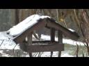 Das Vogelhaus am 30.11.2008