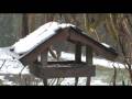 Das Vogelhaus am 30.11.2008