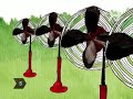 how-to-pestproof-your-yard-naturally.html