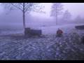 videos de Carbid cannon zijldijk!