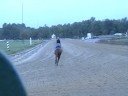 Soto filly and Luscious Lady