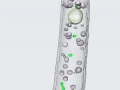 Berkeley Lab: Speedy CAT Scan for Cells