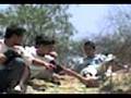 videos de paseo chikos en el cerro